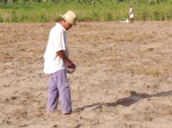 Primitive Landwirtschaft zur Selbstversorgung